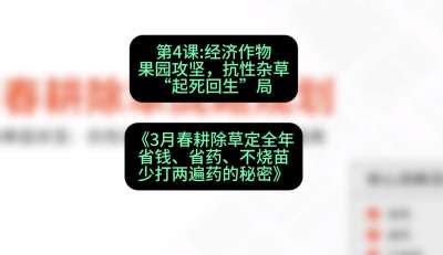 第4节：经济作物果园攻坚，抗性杂草&ldquo;起死回生&rdquo;局，课程：《3月春耕除草定全年：省钱、省药、不烧苗、少打两遍药的秘密》